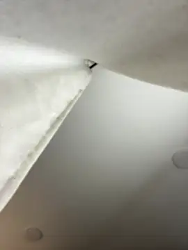 GeorginaJones online show from 01-18-25, 02:25