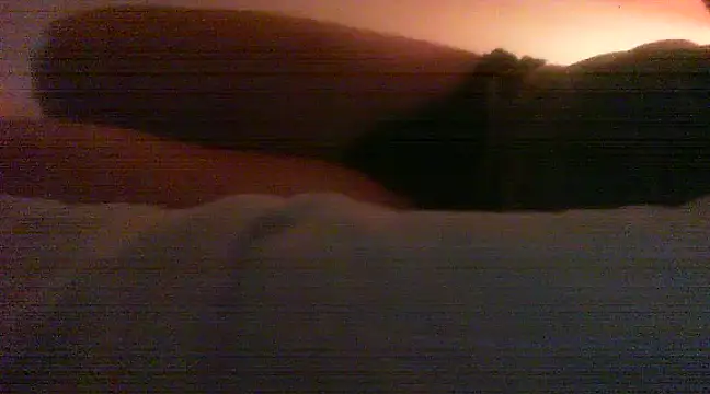 patrasdick94 online show from 02-13-25, 03:03