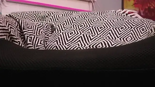 sexmadshyguy online show from 12-22-25, 05:37