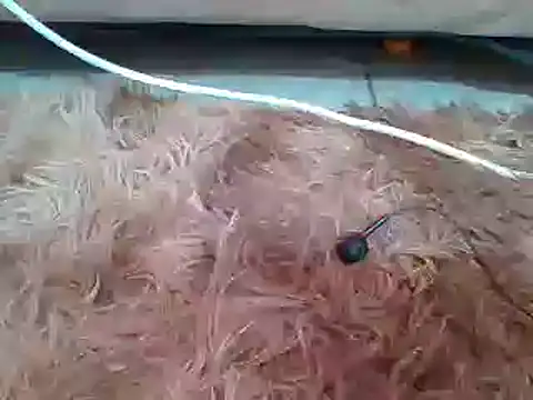 sexyjanett online show from 03-11-25, 09:13