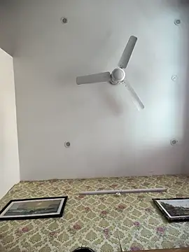 Rinku5553 online show from 12-13-24, 08:20