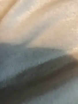 Hugetings online show from 01-24-25, 08:54