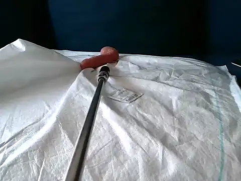 Snapshot of Simon-tem chatting on 02-24-25, 05:09 Simon-tem online show from 02-24-25, 05:09