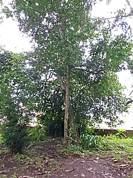 Yuky ta online show from 02-23-25, 05:50