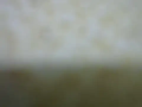 Snapshot of castistee chatting on 10-26-25, 10:36 castistee online show from 10-26-25, 10:36