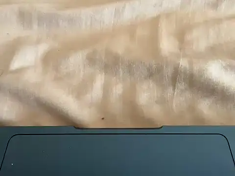 rohitsen222 online show from 01-10-26, 08:38