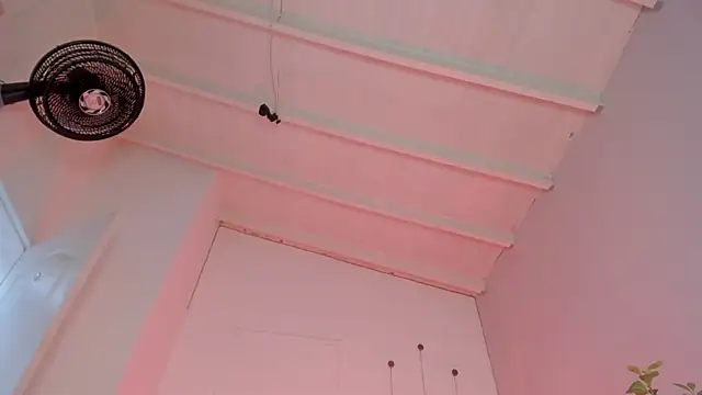 Snapshot of swt-booty chatting on 11-19-25, 06:52 swt-booty online show from 11-19-25, 06:52