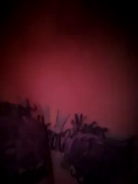 Snapshot of julimonroe chatting on 02-18-26, 10:22 julimonroe online show from 02-18-26, 10:22