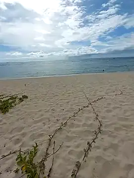 LightedWoman online show from 01-02-25, 11:52