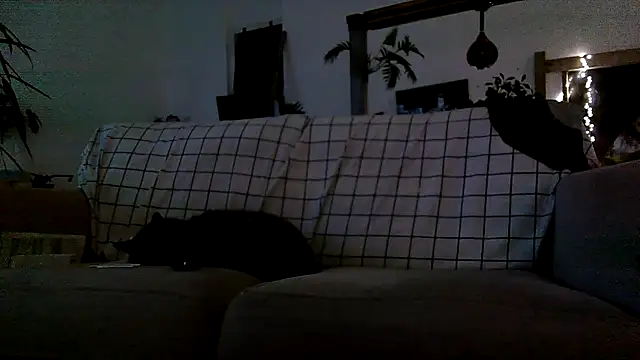 iamsex6969 online show from 04-15-26, 03:57