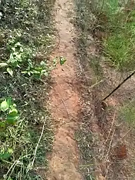 Gopal1243 online show from 12-14-24, 02:01