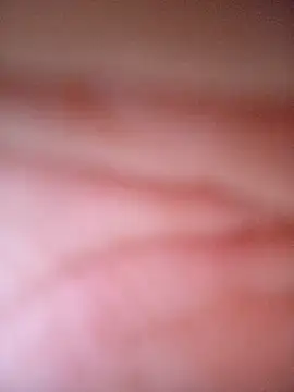 CASADASIGILO2 online show from 11-13-25, 11:03