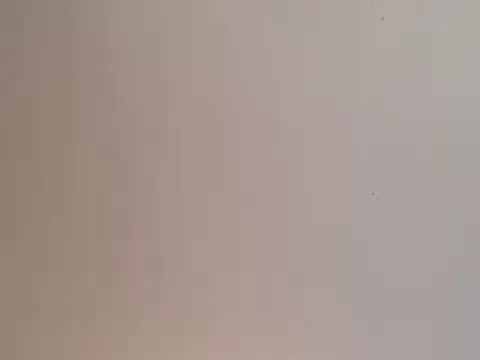 Snapshot of highstepper500 chatting on 12-25-24, 02:02 highstepper500 online show from 12-25-24, 02:02