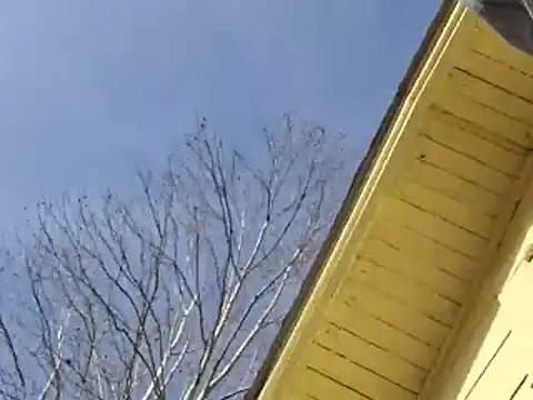 Snapshot of highstepper500 chatting on 12-25-24, 08:07 highstepper500 online show from 12-25-24, 08:07