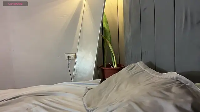 wiggle nibble online show from 02-05-26, 03:49