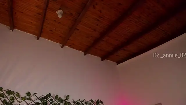 annie barozzi online show from 01-16-25, 01:36