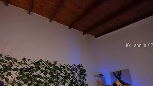 annie barozzi online show from 01-24-25, 01:36