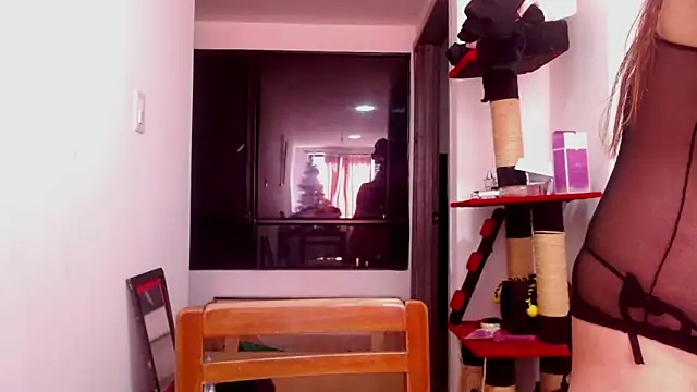 karinasodi 1 online show from 12-03-25, 08:07