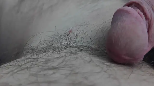 Fist-my-ass online show from 11-24-25, 08:03