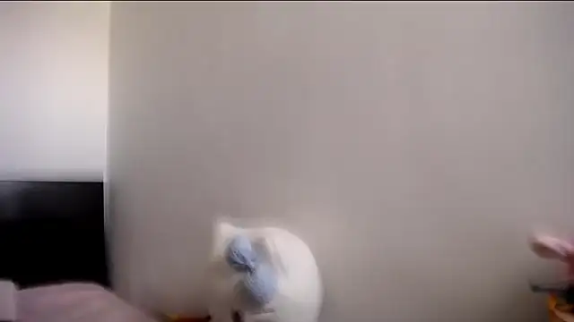 Snapshot of MARIANADIRTY chatting on 11-11-25, 02:17 MARIANADIRTY online show from 11-11-25, 02:17