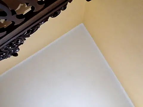 Snapshot of White_rabbit_ chatting on 10-29-25, 10:00 White rabbit  online show from 10-29-25, 10:00