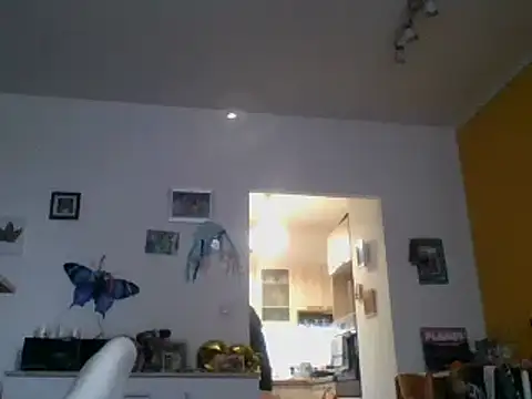 82liska online show from 11-09-25, 11:19