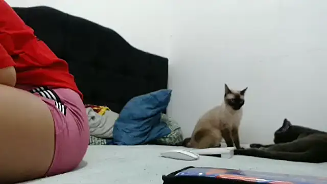 Emmily Fox online show from 12-02-24, 10:23