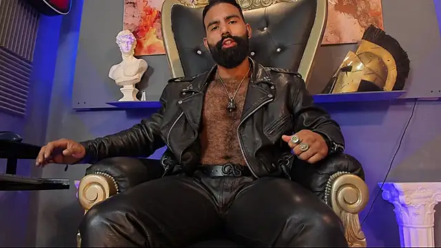 Snapshot of BeardAndrew chatting on 02-06-25, 03:27 BeardAndrew online show from 02-06-25, 03:27