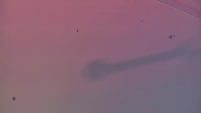 Scarlett collins02 online show from 03-22-25, 08:08