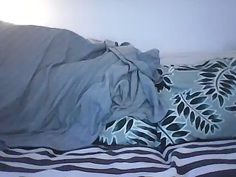 Snapshot of Malcomvs97 chatting on 01-28-25, 08:04 Malcomvs97 online show from 01-28-25, 08:04