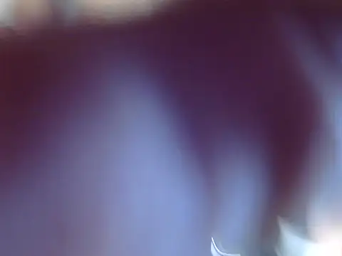 Snapshot of OSIRlS chatting on 12-12-24, 09:37 OSIRlS online show from 12-12-24, 09:37