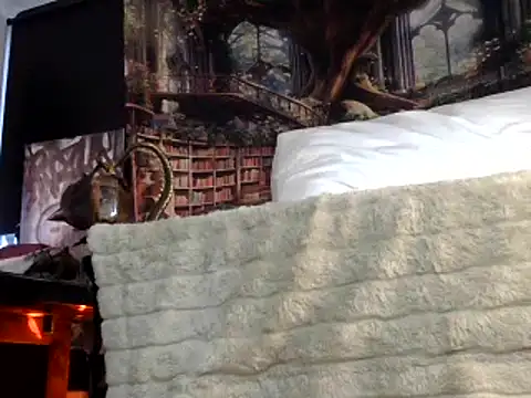 Snapshot of OSIRlS chatting on 01-26-25, 07:31 OSIRlS online show from 01-26-25, 07:31