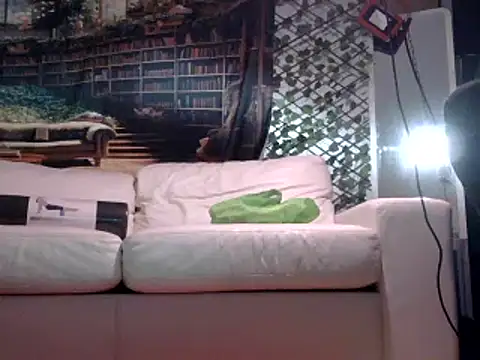 Snapshot of OSIRlS chatting on 02-19-25, 01:17 OSIRlS online show from 02-19-25, 01:17