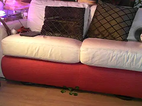 Snapshot of OSIRlS chatting on 03-02-25, 12:43 OSIRlS online show from 03-02-25, 12:43