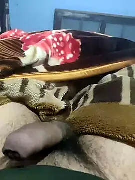 Snapshot of Deshilund9 chatting on 01-09-25, 03:04 Deshilund9 online show from 01-09-25, 03:04