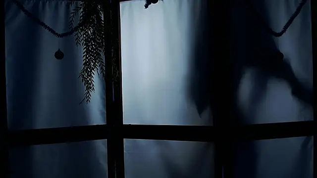 Wildorchid  online show from 01-19-25, 06:20