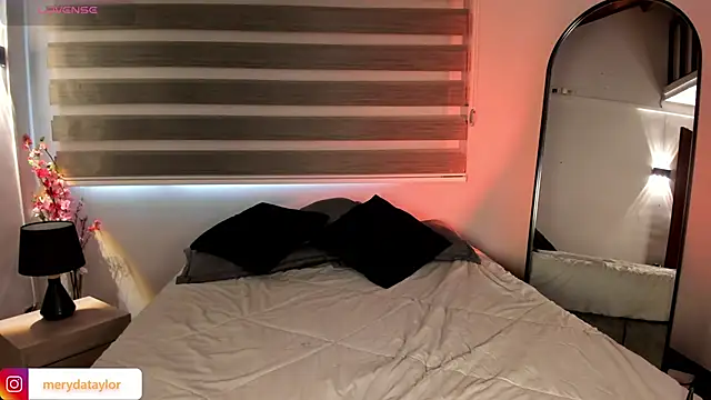 Snapshot of MERIDA_TAYLOR chatting on 11-28-25, 01:47 MERIDA TAYLOR online show from 11-28-25, 01:47