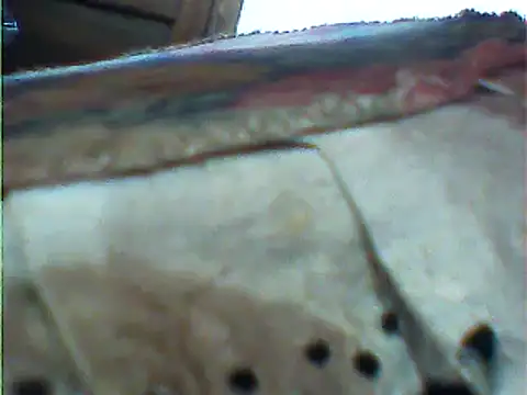 messi syssy online show from 02-25-25, 10:58