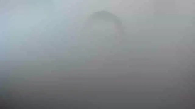 smile sweetpao online show from 02-23-25, 10:31