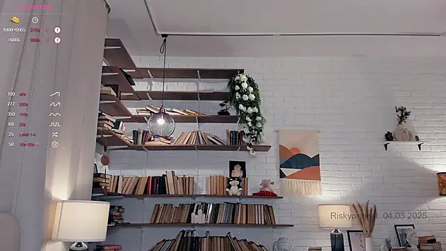 Riskyproject online show from 03-04-25, 01:17