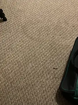 1Lustfully yours online show from 11-10-25, 07:57