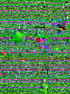 eva six online show from 12-20-24, 06:45