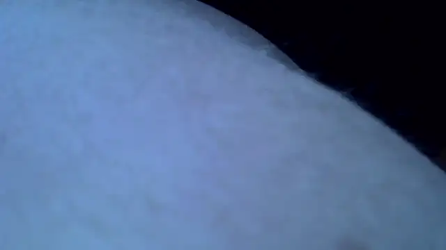 Snapshot of Mariomario0565 chatting on 01-31-25, 08:11 Mariomario0565 online show from 01-31-25, 08:11