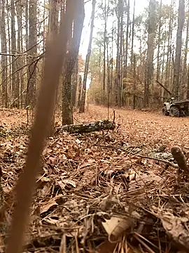 Themechanic420 online show from 12-14-24, 07:14