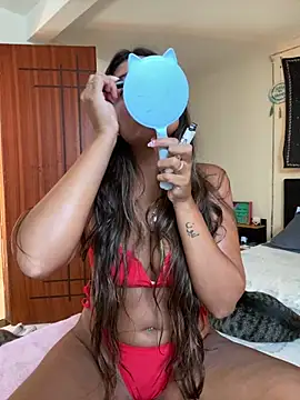 Snapshot of fenixgre chatting on 02-25-25, 06:20 fenixgre online show from 02-25-25, 06:20