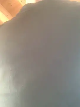 Fellix online show from 02-17-25, 11:34