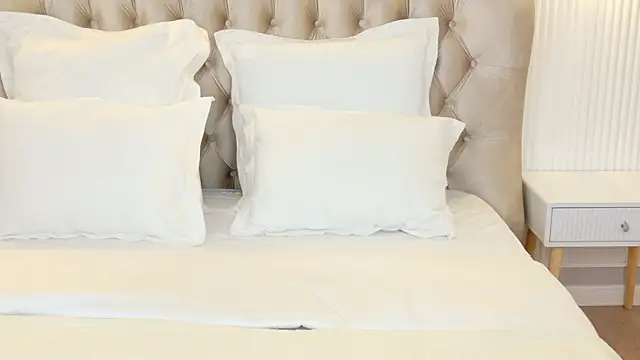 Snapshot of LilyRaisa chatting on 03-15-25, 04:57 LilyRaisa online show from 03-15-25, 04:57