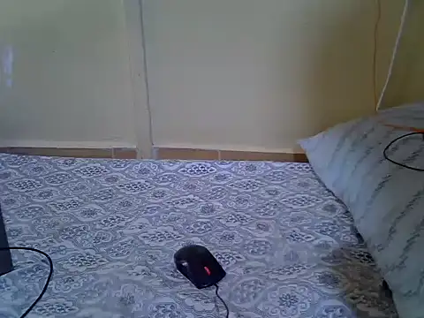 Snapshot of Melia0 chatting on 02-11-26, 10:53 Melia0 online show from 02-11-26, 10:53