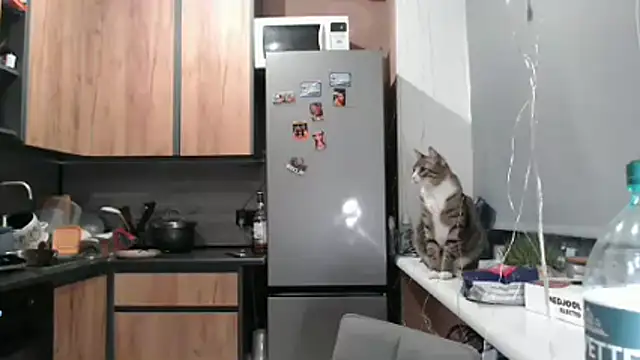 delightful sofi online show from 03-21-26, 06:44