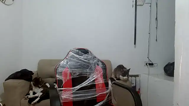 angelamarie1 online show from 09-29-25, 11:04